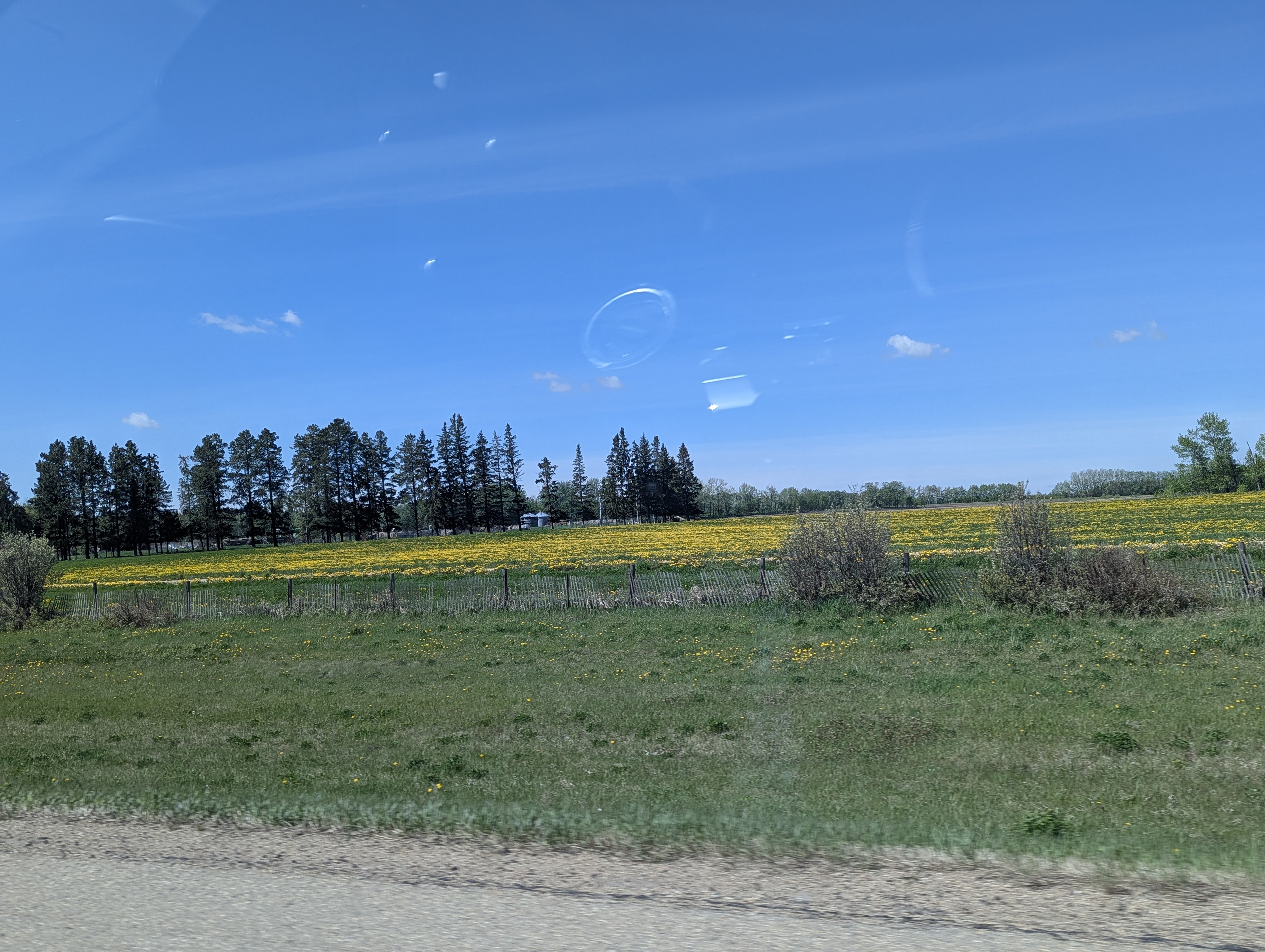 Birthday Trip to Canada,Alberta